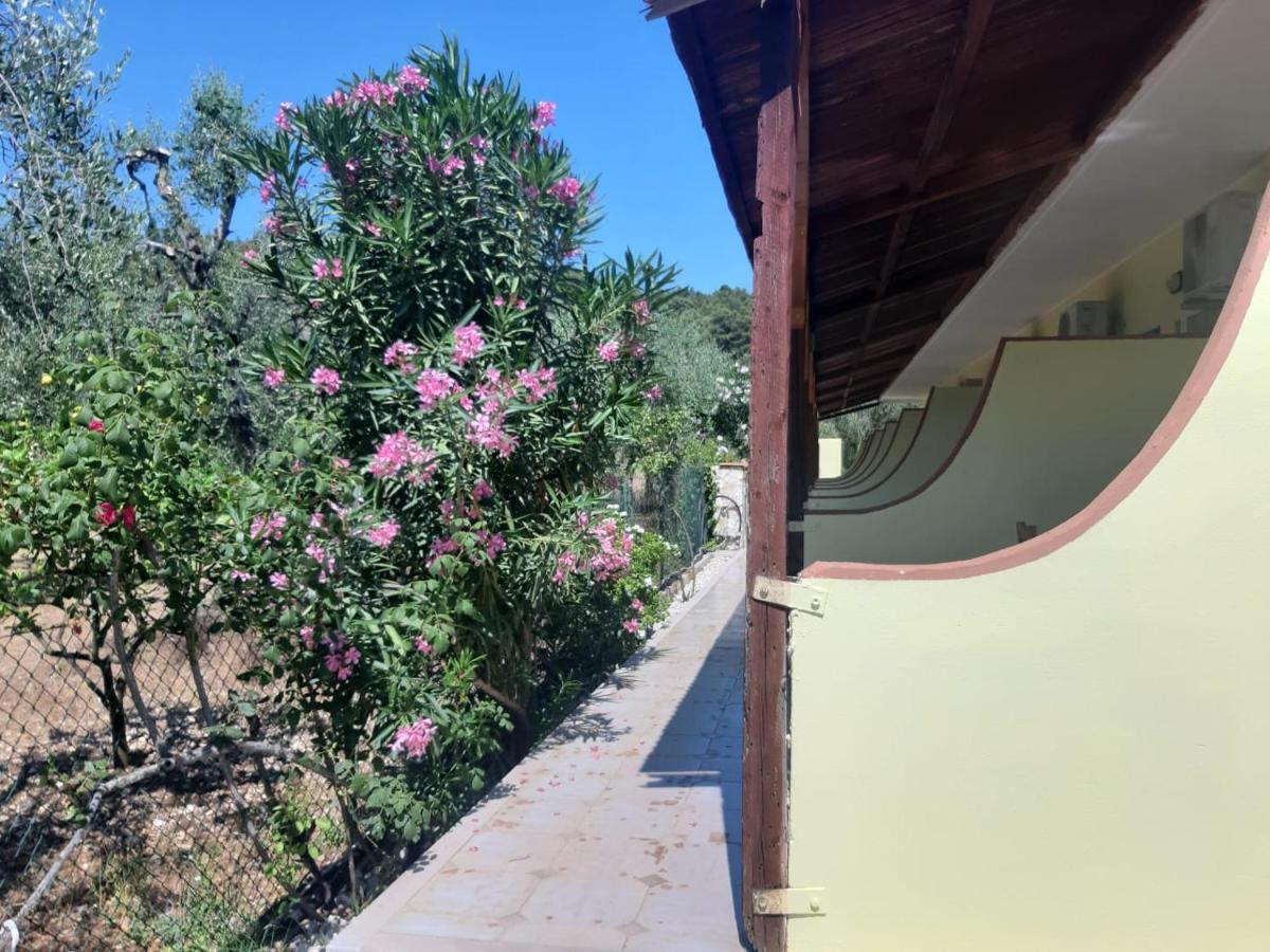La Piccola Mole Bed & Breakfast Peschici Exterior photo